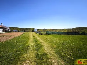 Prodej zahrady, Česká, 658 m2