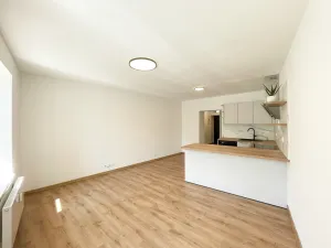 Pronájem bytu 1+kk, Olomouc - Hodolany, Elišky Krásnohorské, 34 m2