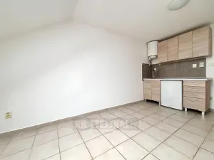 Pronájem bytu 1+kk, České Budějovice - České Budějovice 4, Dobrovodská, 23 m2