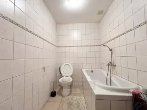 Pronájem bytu 1+kk, České Budějovice - České Budějovice 4, Dobrovodská, 23 m2