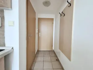 Pronájem bytu 1+kk, České Budějovice - České Budějovice 4, Dobrovodská, 23 m2