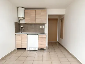 Pronájem bytu 1+kk, České Budějovice - České Budějovice 4, Dobrovodská, 23 m2