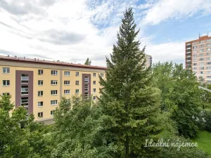 Pronájem bytu 2+1, Praha, Nad úžlabinou, 54 m2