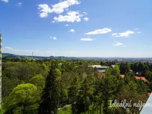 Pronájem bytu 3+1, Brno - Lesná, Haškova, 67 m2