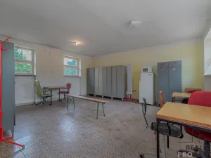 Prodej výrobních prostor, Moravský Krumlov, Pod Leskounem, 14738 m2