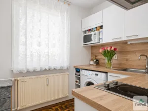 Prodej bytu 1+1, Liberec - Liberec XIV-Ruprechtice, Borový vrch, 39 m2