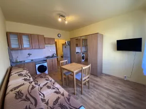 Pronájem bytu 1+kk, České Budějovice - České Budějovice 3, Puklicova, 20 m2