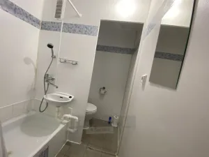 Pronájem bytu 1+kk, České Budějovice - České Budějovice 3, Puklicova, 20 m2