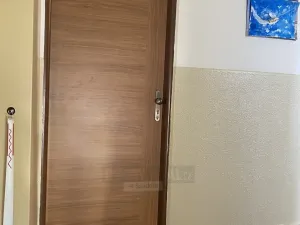 Pronájem bytu 1+kk, České Budějovice - České Budějovice 3, Puklicova, 20 m2
