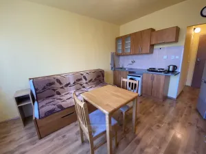 Pronájem bytu 1+kk, České Budějovice - České Budějovice 3, Puklicova, 20 m2
