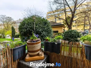 Prodej bytu 2+1, Praha - Libeň, Čihákova, 55 m2