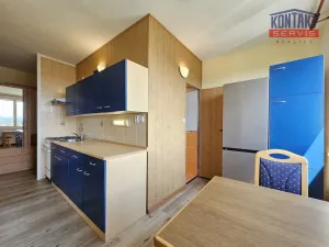 Pronájem bytu 1+1, České Budějovice - České Budějovice 2, 41 m2