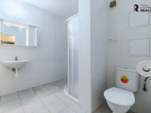 Pronájem bytu 1+1, Praha - Bohnice, Toruňská, 46 m2