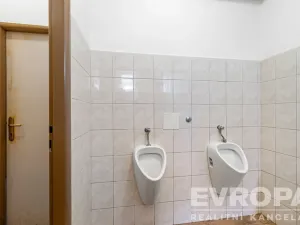 Pronájem komerční nemovitosti, Okrouhlička, 572 m2