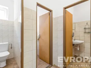 Pronájem komerční nemovitosti, Okrouhlička, 572 m2