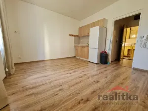 Pronájem bytu 1+kk, Opava - Předměstí, Slámova, 22 m2