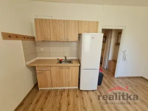 Pronájem bytu 1+kk, Opava - Předměstí, Slámova, 22 m2