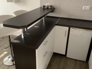 Pronájem bytu 1+kk, Ostrava - Moravská Ostrava, Gen. Píky, 26 m2