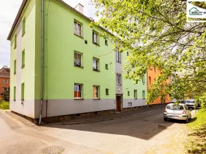 Prodej bytu 2+1, Cheb, Riegerova, 41 m2