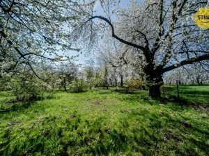 Prodej pozemku pro bydlení, Vratimov, Na Podlesí, 1082 m2