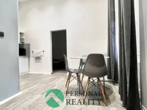 Pronájem ubytování, Praha - Karlín, Křižíkova, 540 m2
