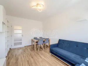 Pronájem bytu 2+1, České Budějovice - České Budějovice 5, Dobrovodská, 47 m2