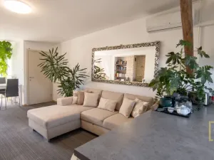 Pronájem bytu 1+kk, Brno - Veveří, Veveří, 48 m2