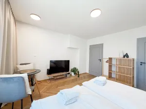 Pronájem bytu 1+1, Praha - Vinohrady, Sázavská, 28 m2