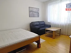 Pronájem bytu 1+1, České Budějovice - České Budějovice 2, Dubenská, 33 m2