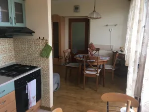 Pronájem bytu 3+1, Plzeň - Skvrňany, Křimická, 77 m2