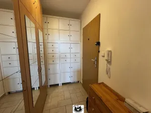 Pronájem bytu 3+kk, Příbram - Příbram VIII, Brodská, 72 m2