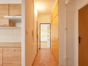 Prodej bytu 2+1, Vodňany, Smetanova, 60 m2