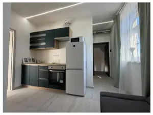 Pronájem bytu 2+1, Praha - Žižkov, Na Jarově, 35 m2