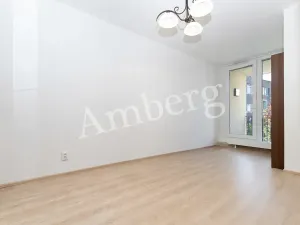 Prodej bytu 2+kk, Praha - Žižkov, Na Vackově, 53 m2