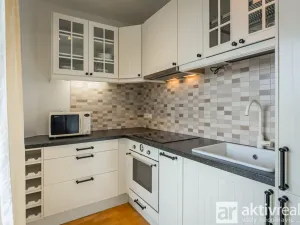 Pronájem bytu 1+kk, Praha - Žižkov, Pitterova, 38 m2