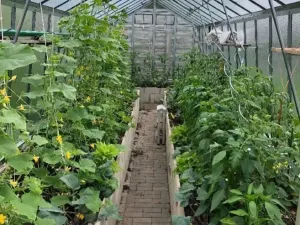 Prodej rodinného domu, Libiš, Zahardní, 220 m2