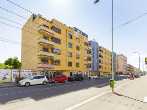 Pronájem bytu 1+kk, Pardubice - Zelené Předměstí, Jana Palacha, 30 m2