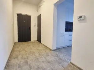 Pronájem bytu 2+1, České Budějovice, Mánesova, 70 m2