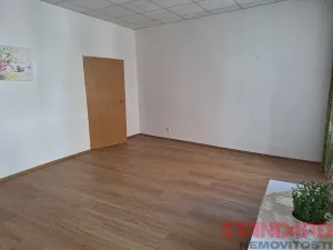 Pronájem bytu 1+1, Plzeň, Solní, 50 m2