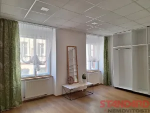 Pronájem bytu 1+1, Plzeň, Solní, 50 m2