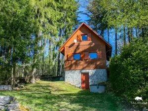 Prodej chaty, Klatovy - Habartice, 99 m2