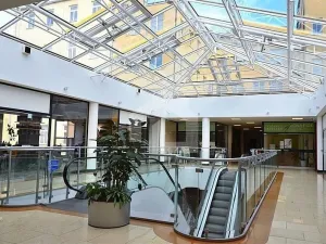 Pronájem restaurace, České Budějovice - České Budějovice 1, nám. Přemysla Otakara II., 96 m2