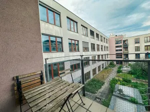 Pronájem bytu 1+kk, Praha - Žižkov, Lukášova, 27 m2