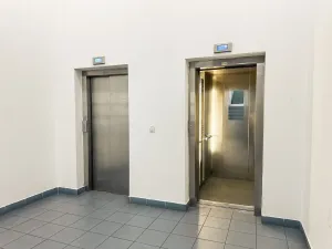 Pronájem bytu 1+kk, Praha - Žižkov, Lukášova, 27 m2