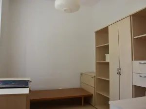 Pronájem bytu 3+kk, Brno, Tábor, 55 m2