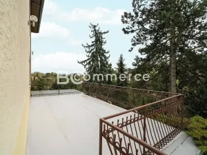Prodej vily, Dolní Kounice, Zámecká, 270 m2