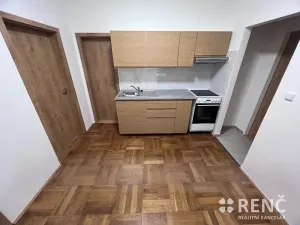 Pronájem bytu 2+1, Brno, Štefánikova, 65 m2