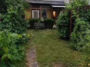 Dražba rodinného domu, České Budějovice, Rybniční, 76 m2