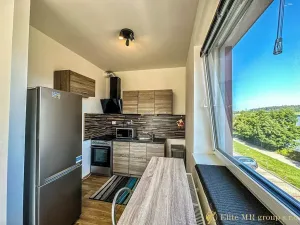 Pronájem bytu 1+kk, Mladá Boleslav, 17. listopadu, 45 m2