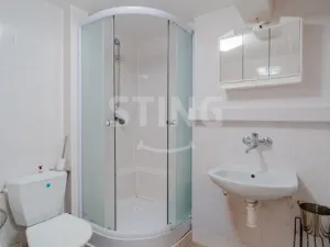 Prodej rodinného domu, Větřkovice, 497 m2